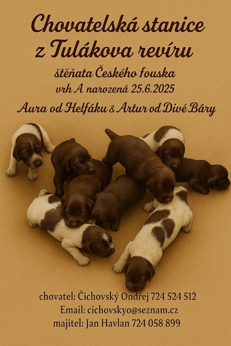 Štěňata Českého fouska