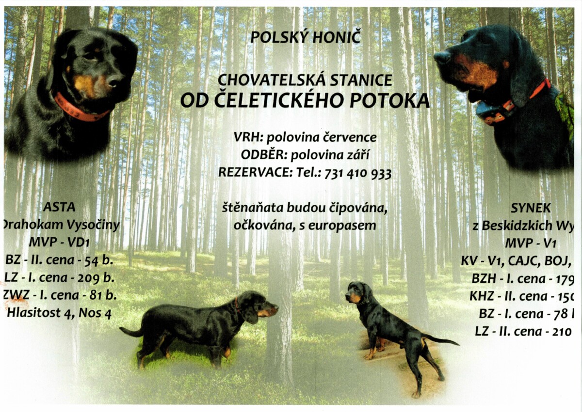 Polský honič