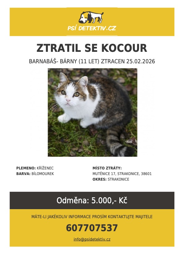 Mutěnice- hledá se kocour