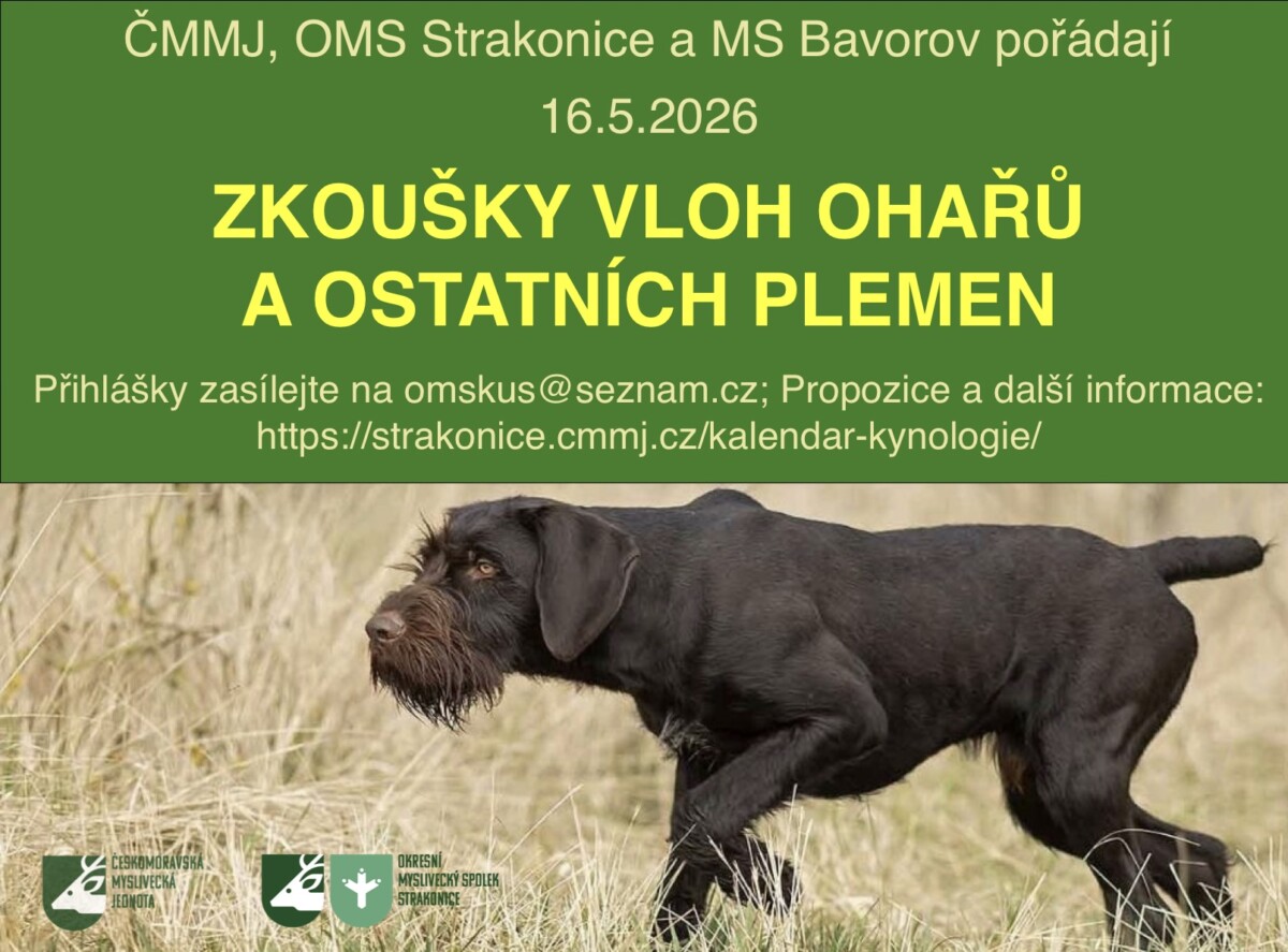 Zkoušky vloh ohařů a ostatních plemen