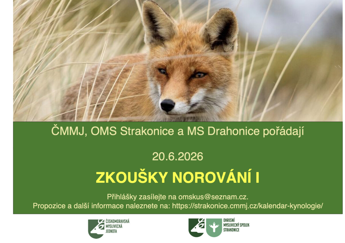 Zkoušky bezkontaktního norování